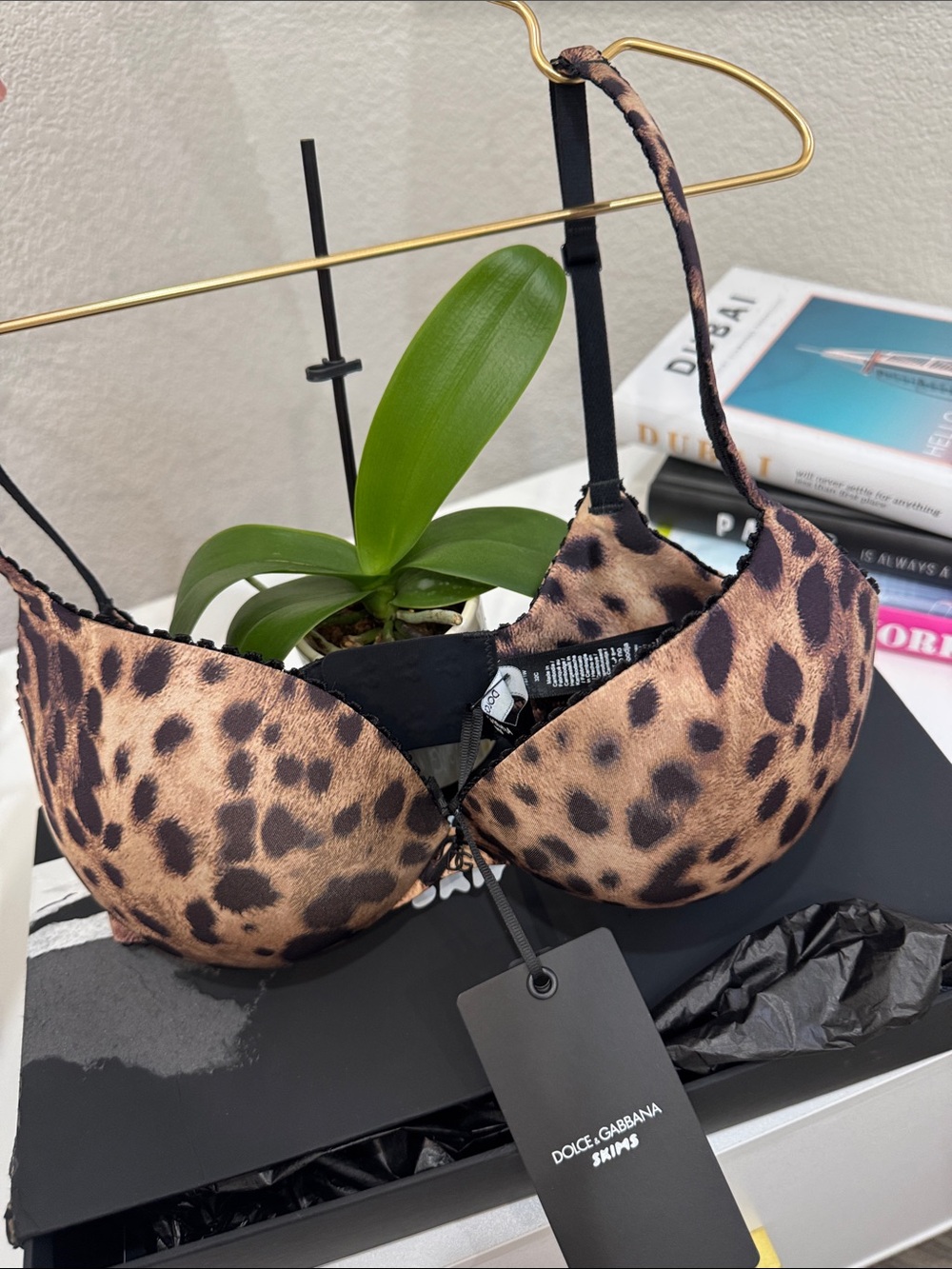 Dolce & Gabbana Leopard-Print Push Up Bra - Brown & Black